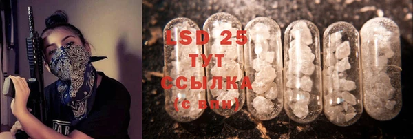индика Покачи