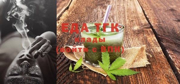 индика Покачи
