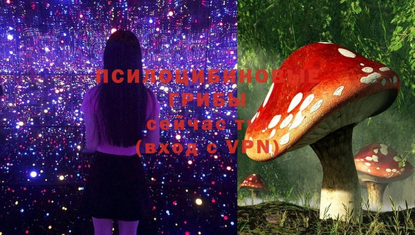 ешки Покровск