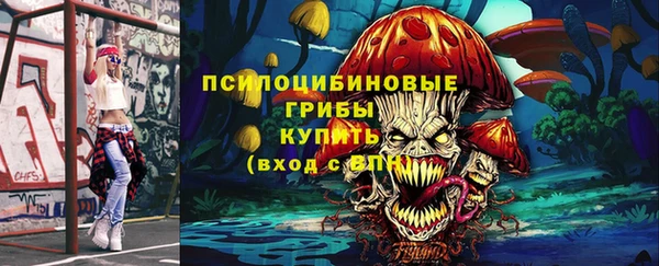 индика Покачи
