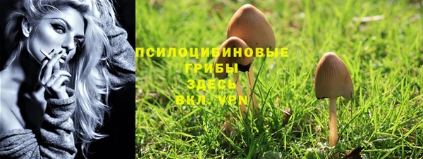 ешки Покровск