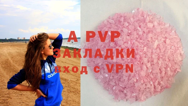 индика Покачи