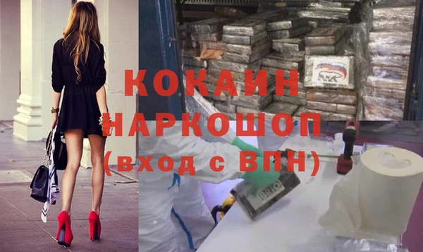 индика Покачи