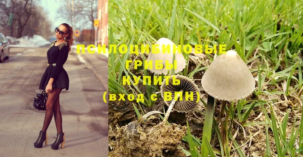 ешки Покровск