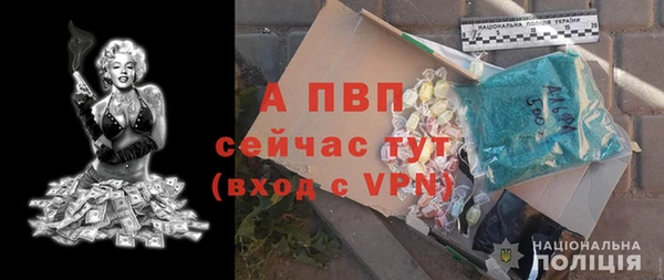 индика Покачи